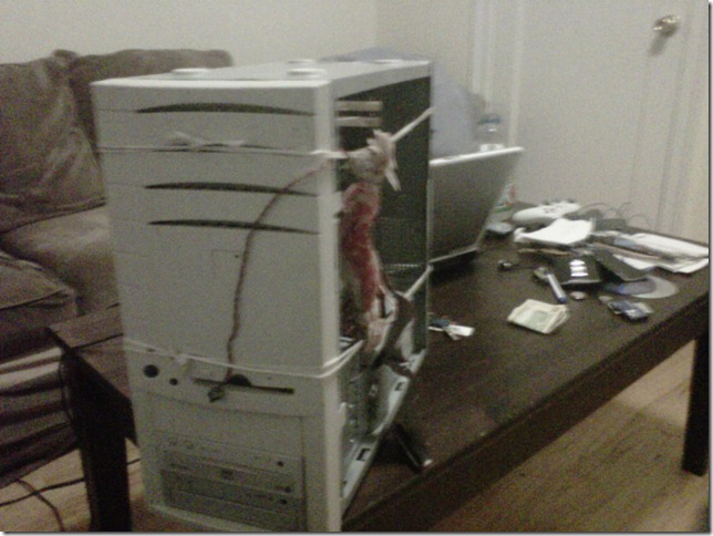 IMG00271-20100927-1910